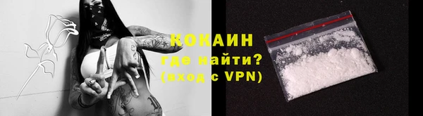 прущие крисы Новозыбков