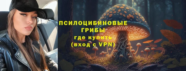 прущие крисы Новозыбков