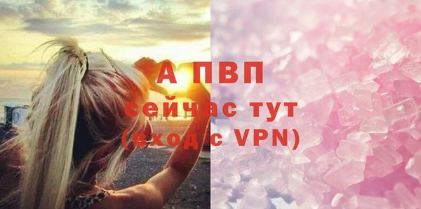 прущие крисы Новозыбков