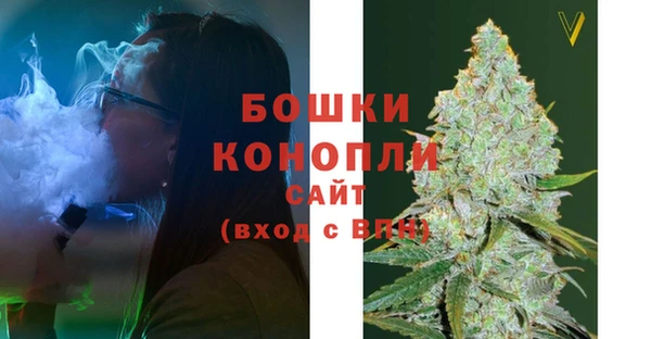 PSILOCYBIN Горнозаводск