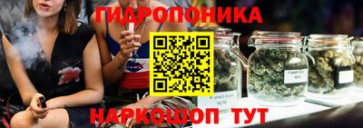 тгк Будённовск