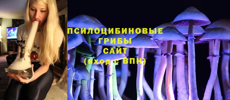 Галлюциногенные грибы Psilocybe  Ливны 